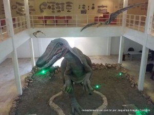 14-Museu de paleontologia (33)