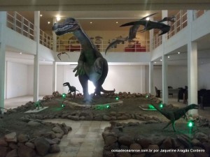 48-Museu de paleontologia (10)